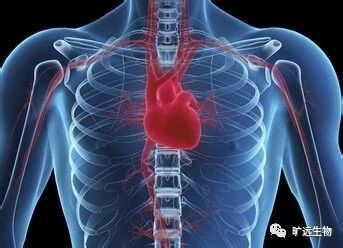 重磅推出最新欧洲共识解读：：：高尿酸血症和高心血管风险患者的诊断和治疗专家共识（2018）