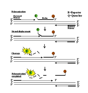 全网担保网(qwdbw)·最具权威唯一维权担保平台